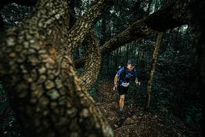 BIB: 
                            <button type="button" onclick="openModal(25696093)" class="btn btn-primary btn-sm float-right btn-popup" data-toggle="modal" data-target=".modal-high-quality">
                        <i class="fas fa-shopping-cart"></i> Add to Cart
                    </button>
                                            <button type="button" onclick="isThisMe(25696093, true)" class="btn btn-success btn-sm float-right btn-popup btn-isme hidden" data-toggle="tooltip" data-placement="bottom" title="นี่คือรูปของคุณใช่ไหม คลิกที่นี่เพื่อเอาเข้าอัลบั้ม">
                        <i class="fas fa-plus"></i> Add to album
                    </button>
                    <button type="button" onclick="isThisMe(25696093, false)" class="btn btn-warning btn-sm float-right btn-popup btn-isnotme hidden">
                        <i class="fas fa-ban"></i> Remove from album
                    </button>